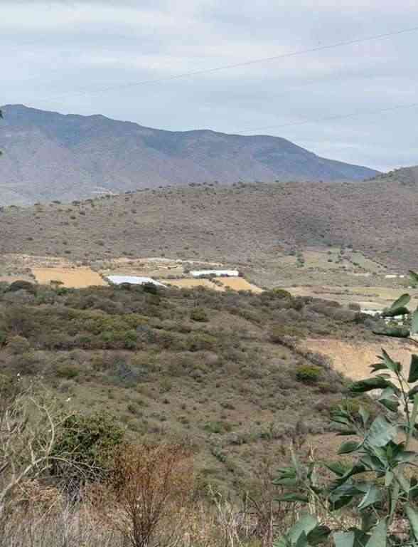 terreno en venta sn jocotepec centro jocotepec jalisco pkJUl0s